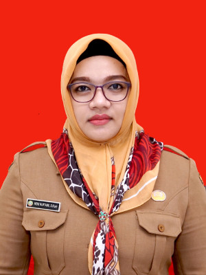 Heni Nuraini, S.Kom.